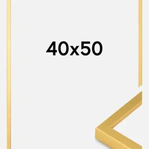 Livraison Gratuite Fotolijsten Goud Smal 40 x 50 cm