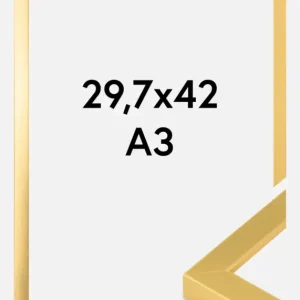 Prix Promo Fotolijsten Goud Breed 29,7 x 42 cm (A3)