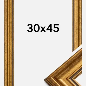 Achat Immédiat Fotolijst Rokoko Goud 30x45 cm