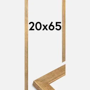 Acheter En Ligne Fotolijst Jämtland Goud 20x65 cm
