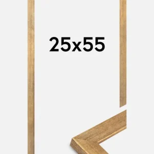 Vente Directe Fotolijst Jämtland Goud 25x55 cm