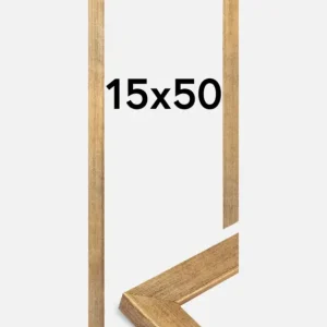 Dernier Modèle Fotolijst Jämtland Goud 15x50 cm