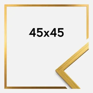Bon Plan Fotolijst Edsbyn Goud 45x45 cm