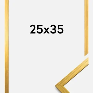 Vente Flash Fotolijst Edsbyn Goud 25x35 cm