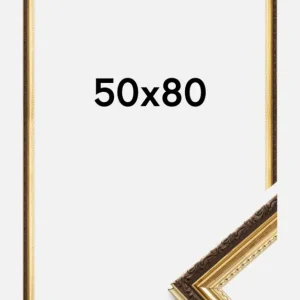 Top Vente Fotolijst Abisko Goud 50x80 cm