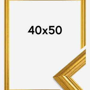 Fotolijst Västkusten Goud 40x50 cm Promotion