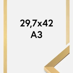 Meilleure Vente Fotolijst Selection Acrylglas Goud 29,7x42 cm (A3)