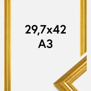 Solde Fotolijst Västkusten Goud 29,7x42 cm (A3)