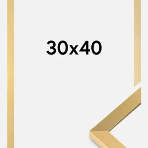 Soldes Fotolijst Selection Goud 30x40 cm