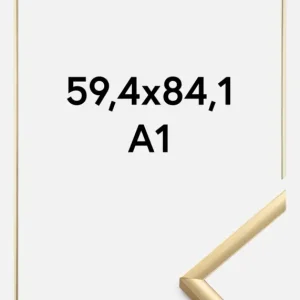 Fotolijst New Lifestyle Goud 59,4x84 cm (A1) Meilleure Vente