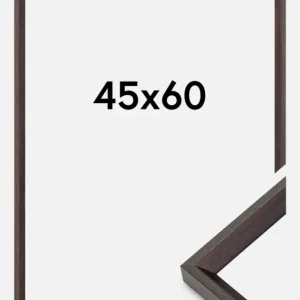 Super Prix Fotolijst Globe Espresso 45x60 cm