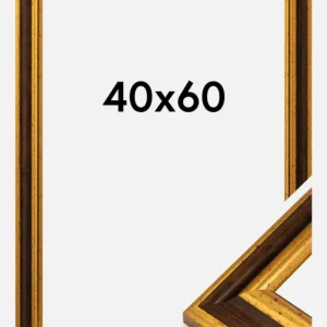 Fotolijst Aberystwyth Goud 40x60 cm Commander Vite