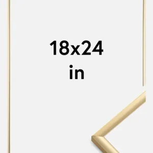 Fotolijst New Lifestyle Goud 18x24 Inches (45,72x60,96 cm) Prix Promo