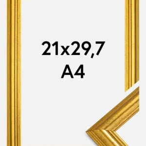 Fotolijst Västkusten Goud 21x29,7 cm (A4) Marque