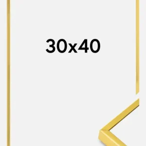 Aluminium Fotolijst Goud 30x40 cm Dernière Chance