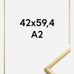 Fotolijst New Lifestyle Goud 42x59,4 cm (A2) Commander Vite