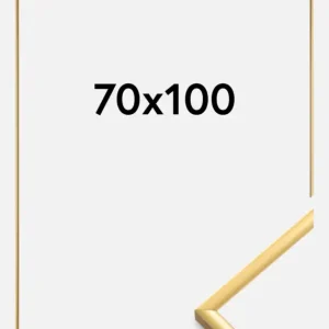 Livraison Gratuite Fotolijst New Lifestyle Shiny Gold 70x100 cm