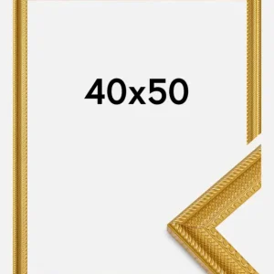 Meilleur Prix Fotolijst Lattice Goud 40x50 cm