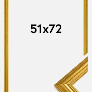 Prix Promo Fotolijst Västkusten Goud 51x72 cm