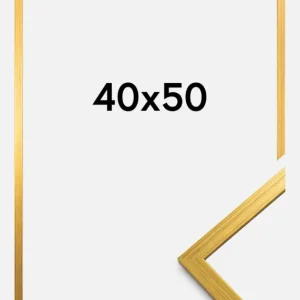 Bon Plan Fotolijst Edsbyn Goud 40x50 cm