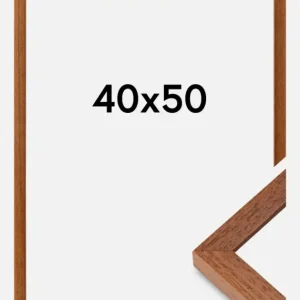 Commande En Gros Fotolijst Hermes Beuken 40x50 cm