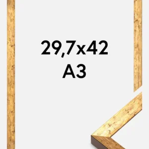 Commande En Gros Fotolijst Dune Goud 29,7x42 cm (A3)