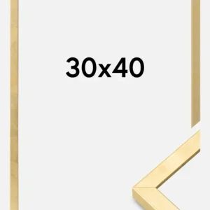 Bon Plan Fotolijst Ares Goud 30x40 cm