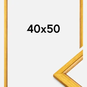 Super Prix Fotolijst Marisa Goud 40x50 cm