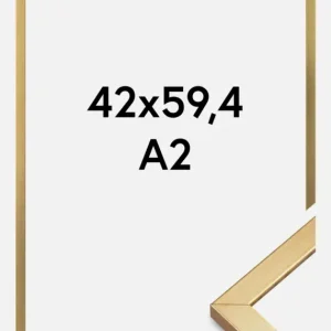 Vente Directe Fotolijst Minerva Goud 42x59,4 cm (A2)