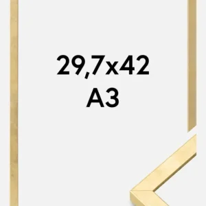 Usine Directe Fotolijst Ares Goud 29,7x42 cm (A3)