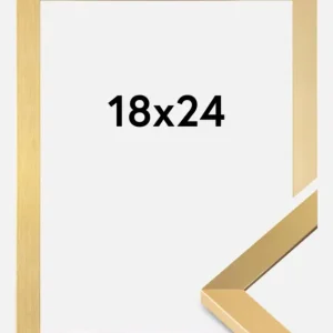 Pas Cher Fotolijst Selection Goud 18x24 cm