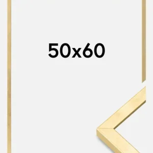 Offre Spéciale Fotolijst Ares Goud 50x60 cm