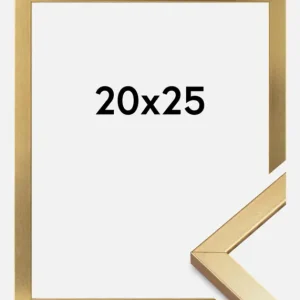 Réduction Fotolijst Minerva Goud 20x25 cm
