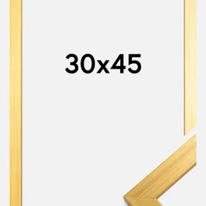 Acheter En Ligne Fotolijst Gold Wood 30x45 cm