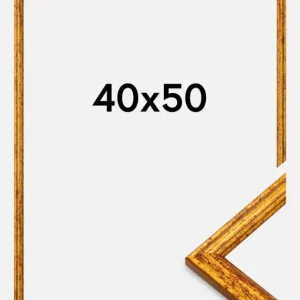 Dernier Modèle Fotolijst Claudia Goud 40x50 cm
