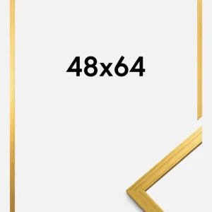 Acheter En Ligne Fotolijst Edsbyn Goud 48x64 cm