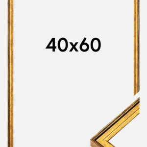 Soldes Fotolijst Ringa Goud 40x60 cm