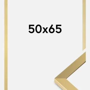 Super Prix Fotolijst Selection Goud 50x65 cm