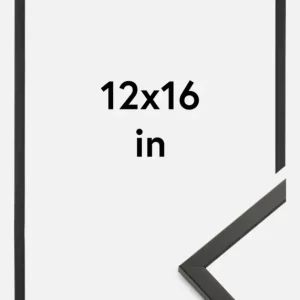 Vente Flash Fotolijst Galant Glas Zwart 12x16 Inches (30,48x40,64 cm)