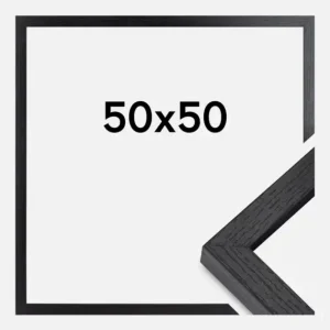 Petit Prix BGA Framebox Zwart 50x50 cm