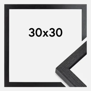 BGA Framebox Zwart 30x30 cm Retour Gratuit