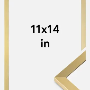 Vente Directe Fotolijst Selection Goud 11x14 Inches (27,94x35,56 cm)