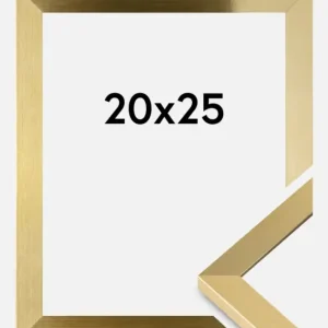 Usine Directe Fotolijst Selection Goud 20x25 cm