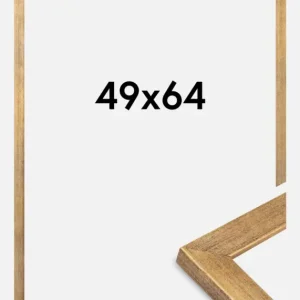 Réduction Fotolijst Jämtland Goud 49x64 cm