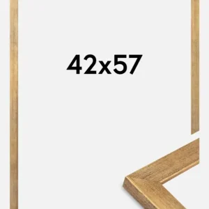 Expédié Aujourd’hui Fotolijst Jämtland Goud 42x57 cm