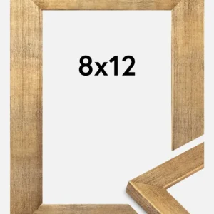 Remise Fotolijst Jämtland Goud 8x12 cm
