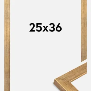 Certifié Fotolijst Jämtland Goud 25x36 cm