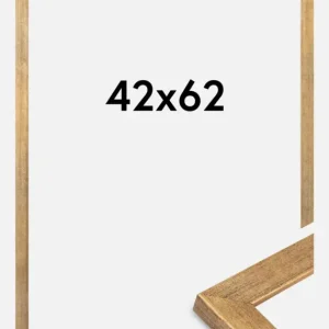 Expédition Rapide Fotolijst Jämtland Goud 42x62 cm