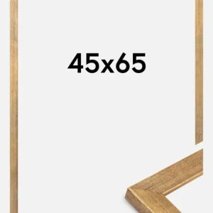 Bon Plan Fotolijst Jämtland Goud 45x65 cm