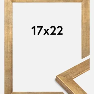 Acheter Direct Fotolijst Jämtland Goud 17x22 cm